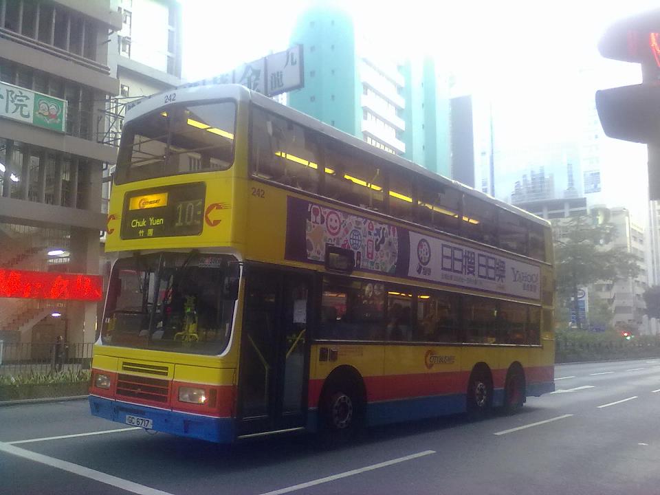 242.jpg
