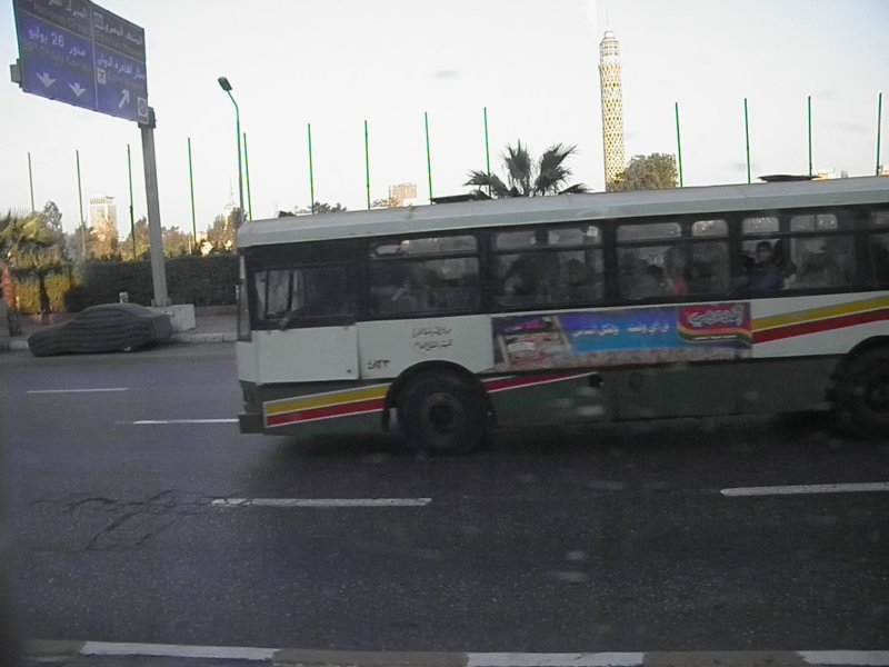 Pc300208a.jpg