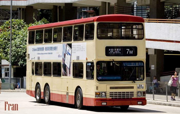 S3N366_GA6072 @ 7M_2.jpg