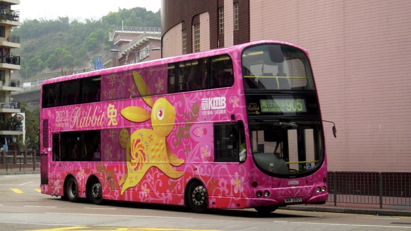 p8790031.jpg