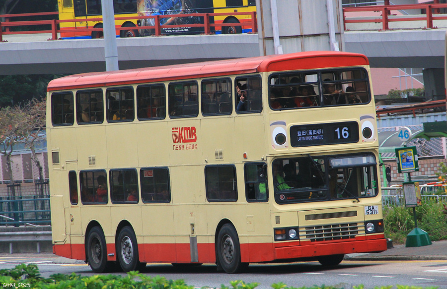 5311.jpg