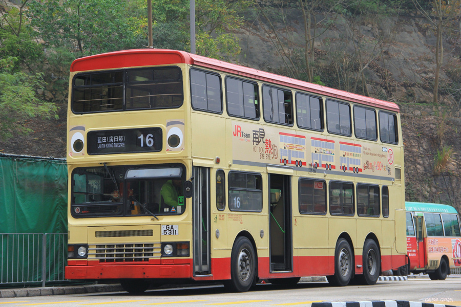 5311 2.jpg