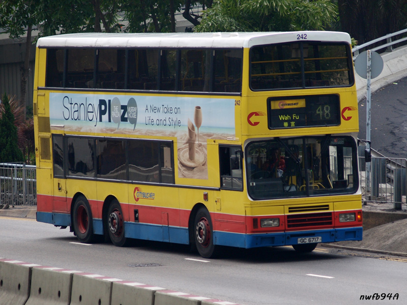 P1263995 copy.jpg