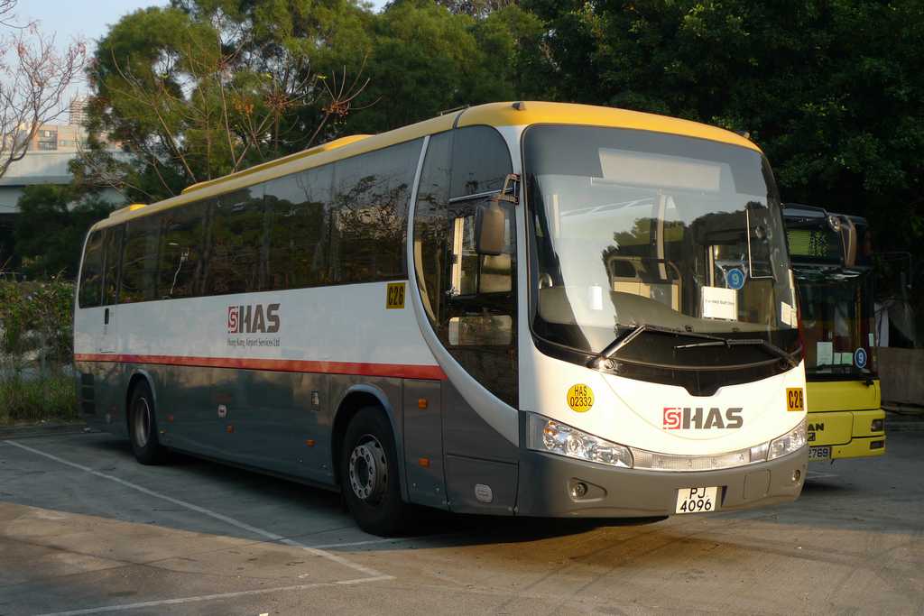 YM7.jpg