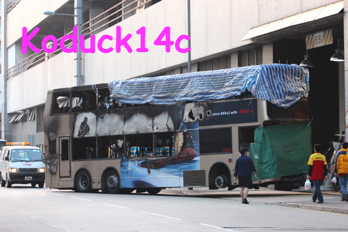 690.jpg