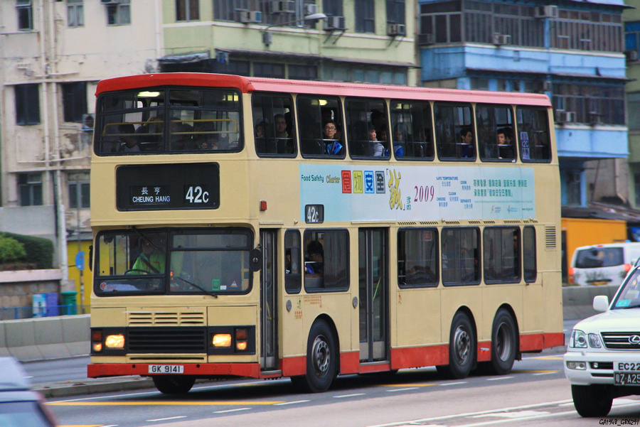 9141.jpg
