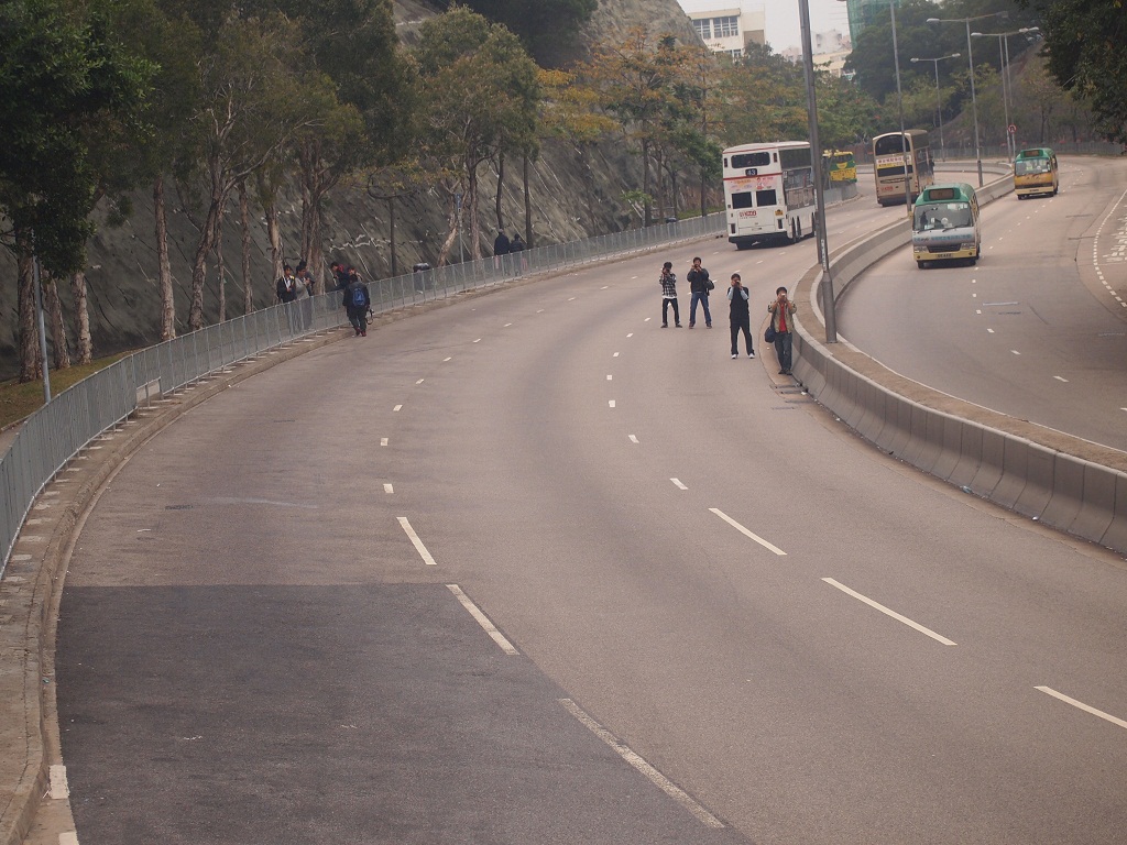 P2051803.jpg