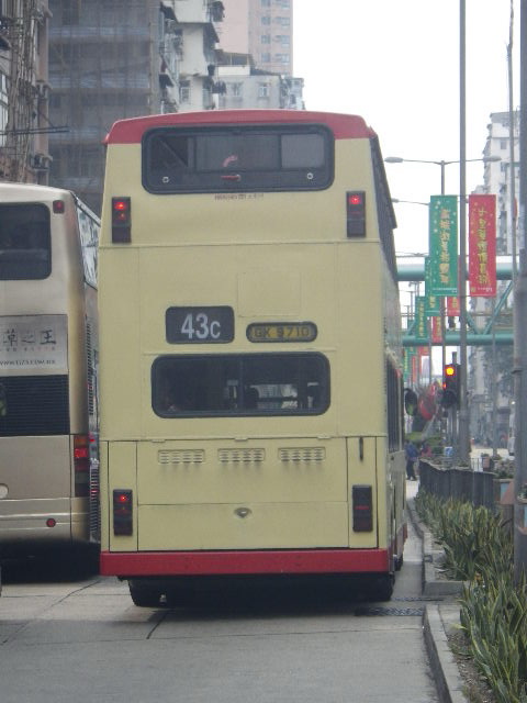 IMGP2742.jpg