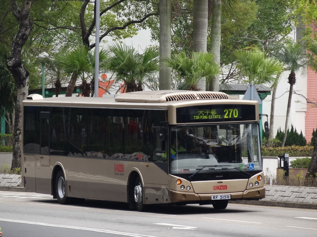 5159b (1024x768).jpg