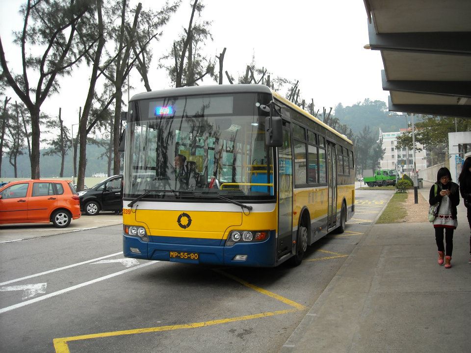 02.jpg