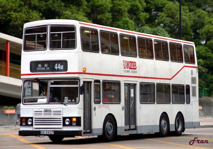 AL1_DX2437 @ 44M_2.jpg