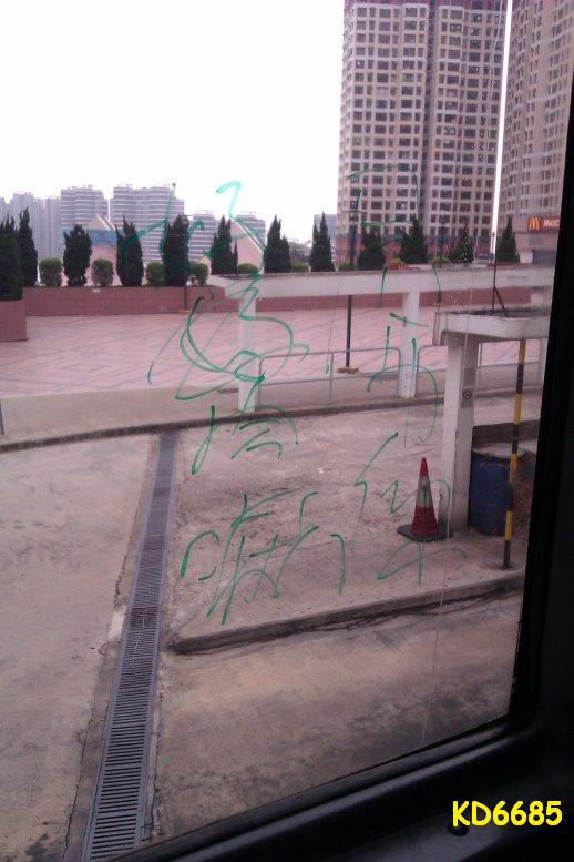 IMAG0521.jpg