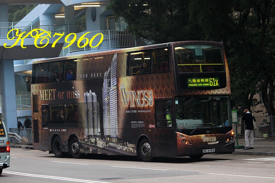 NE2499_61X.jpg