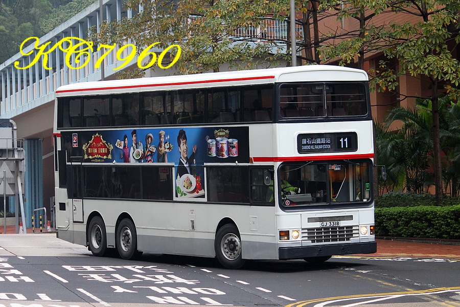 GJ3318_11.jpg