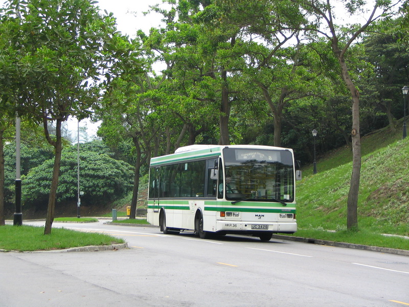 IMG_1124_resize.JPG