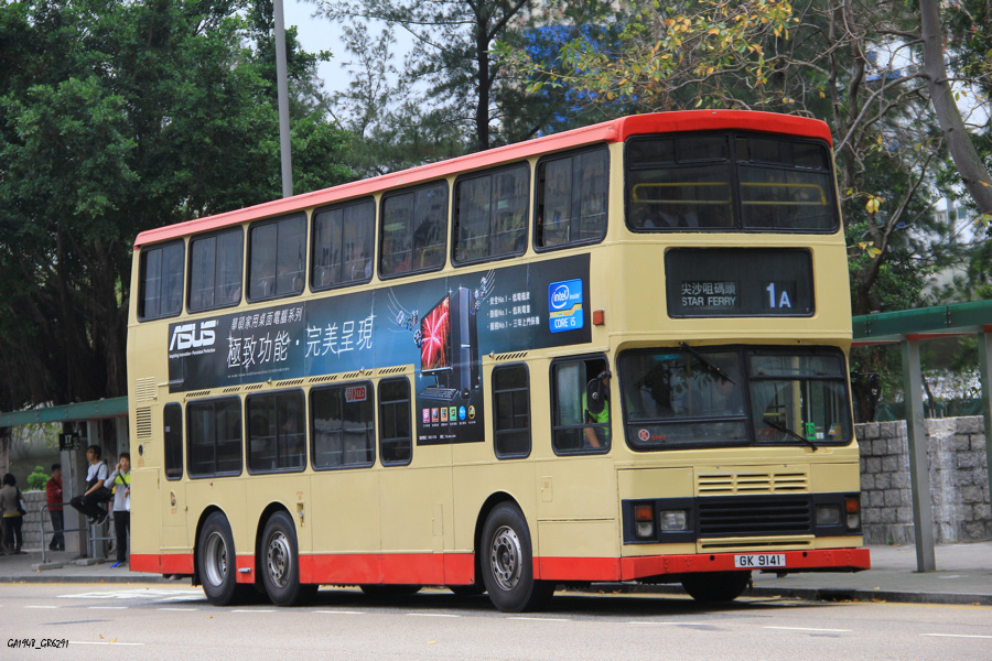 9141.jpg