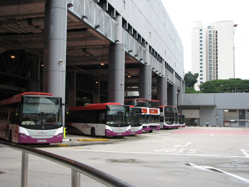 IMG_7131_resize.JPG
