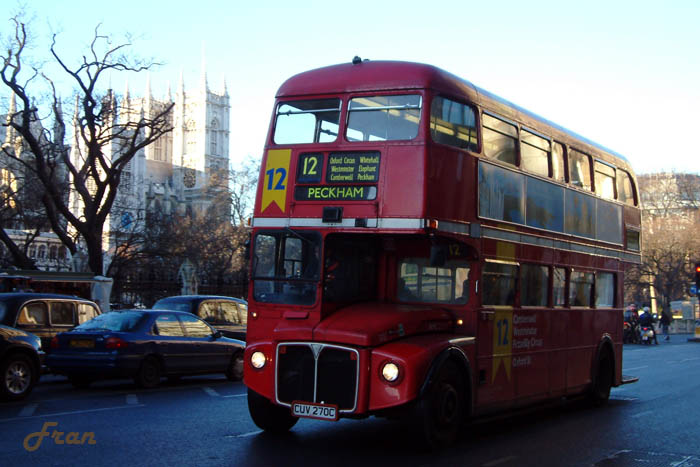 RML2270 @ 12.jpg