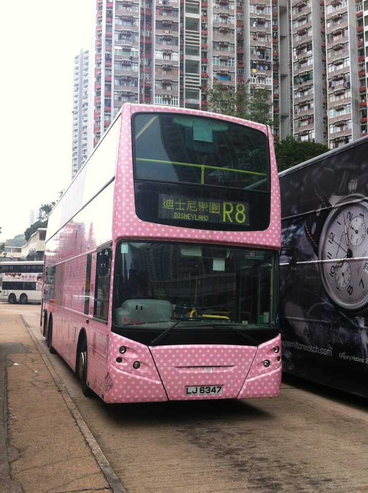 r8.jpg