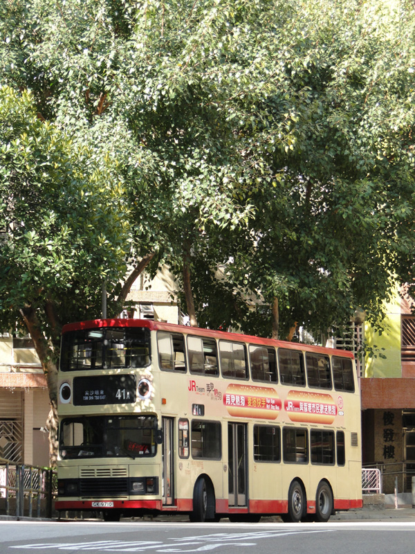 gk9710tree.jpg