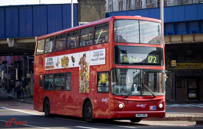 9831 @ 172.jpg