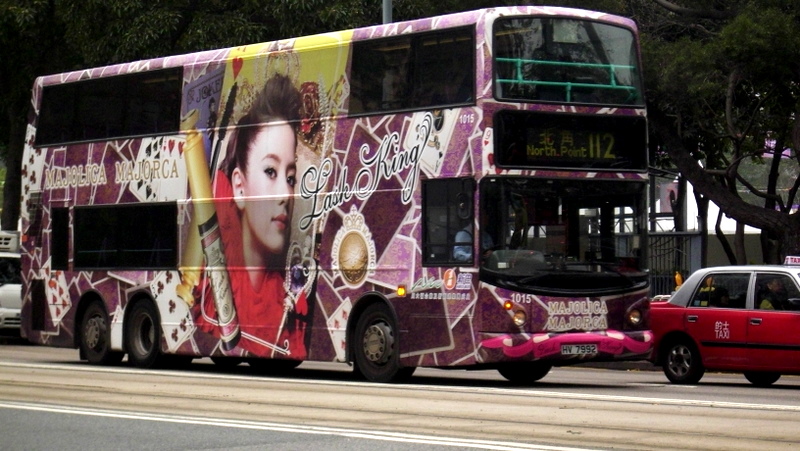 p8810052.jpg