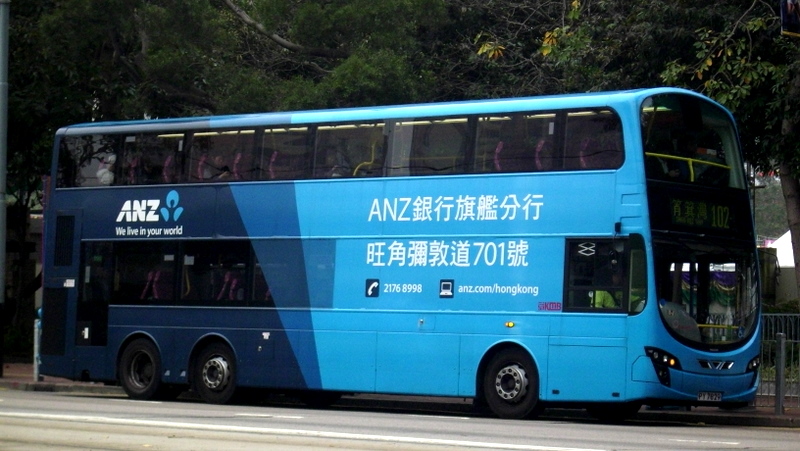 p8810014.jpg