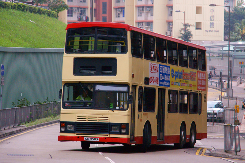 DSC06385SS.jpg