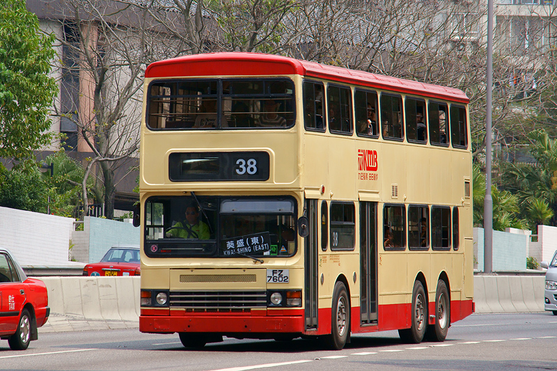 DSC06377SS.jpg