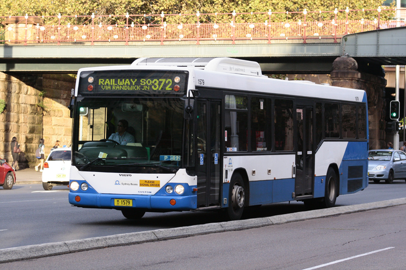 _MG_3522.jpg
