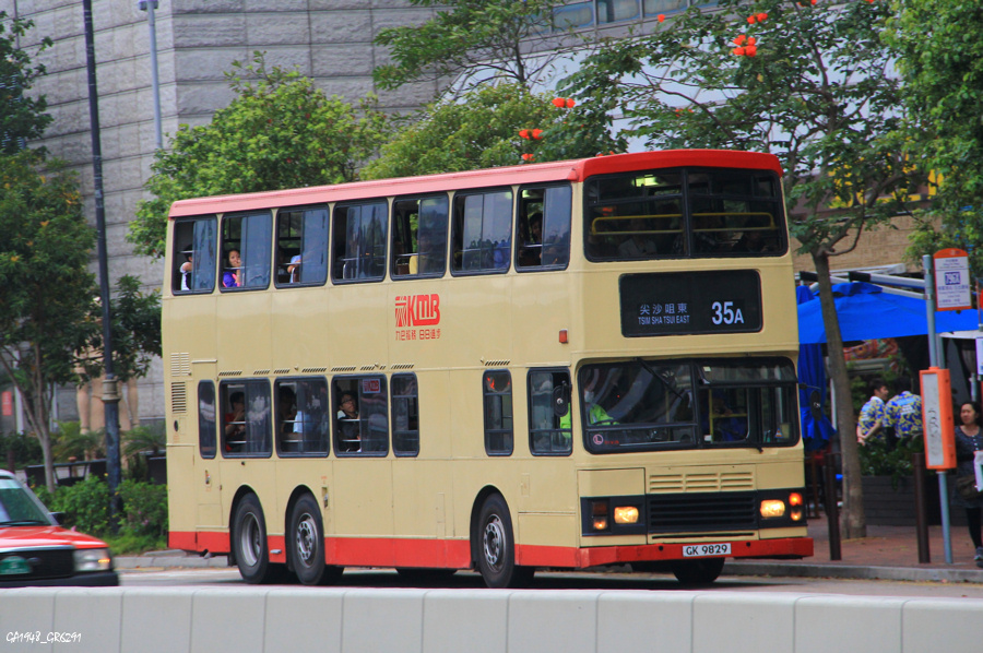 9829.jpg