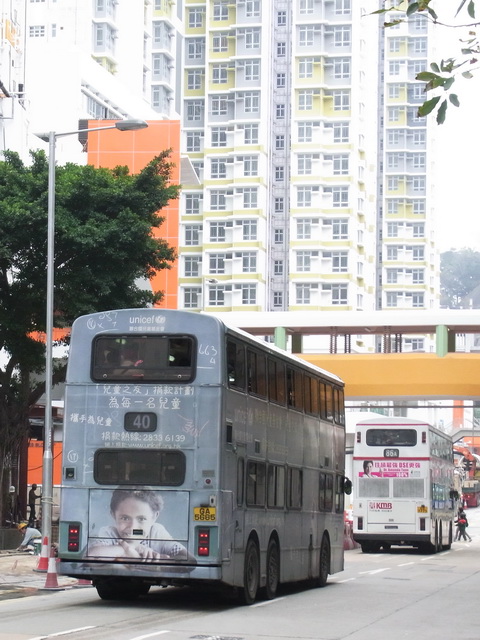 RIMG5680.jpg