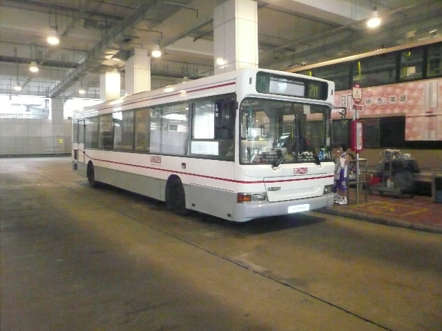 P1050697.JPG