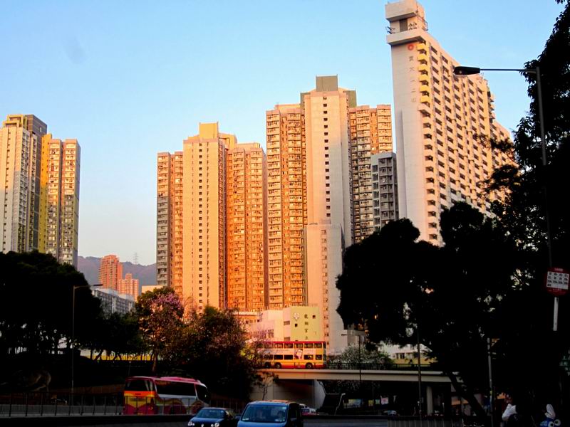 調整大小GA 6072 Ching King 2.JPG