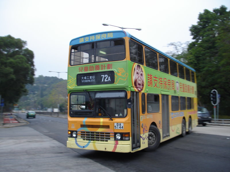 DSC01030.jpg