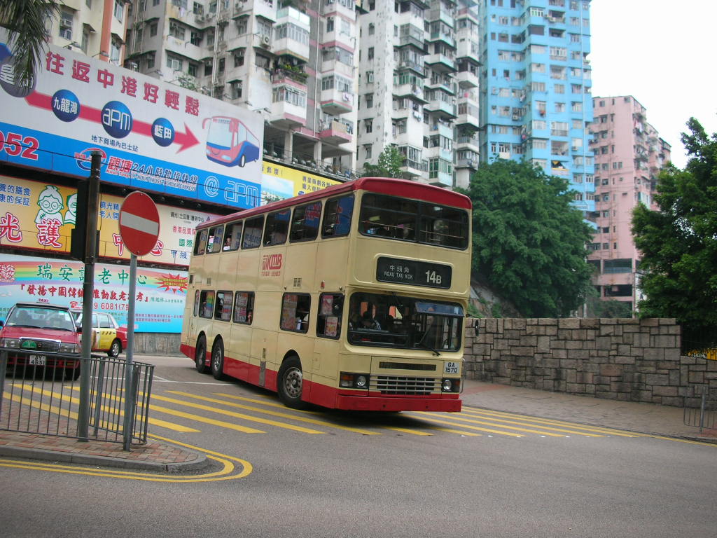 DSCN3095.JPG
