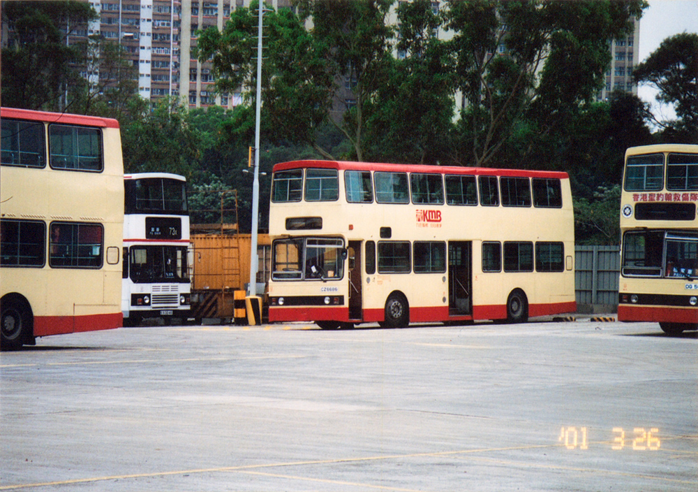 IMG6686.jpg