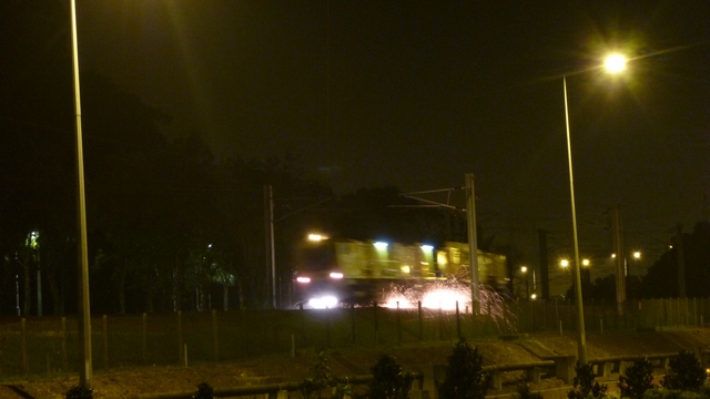 P1050569s.jpg