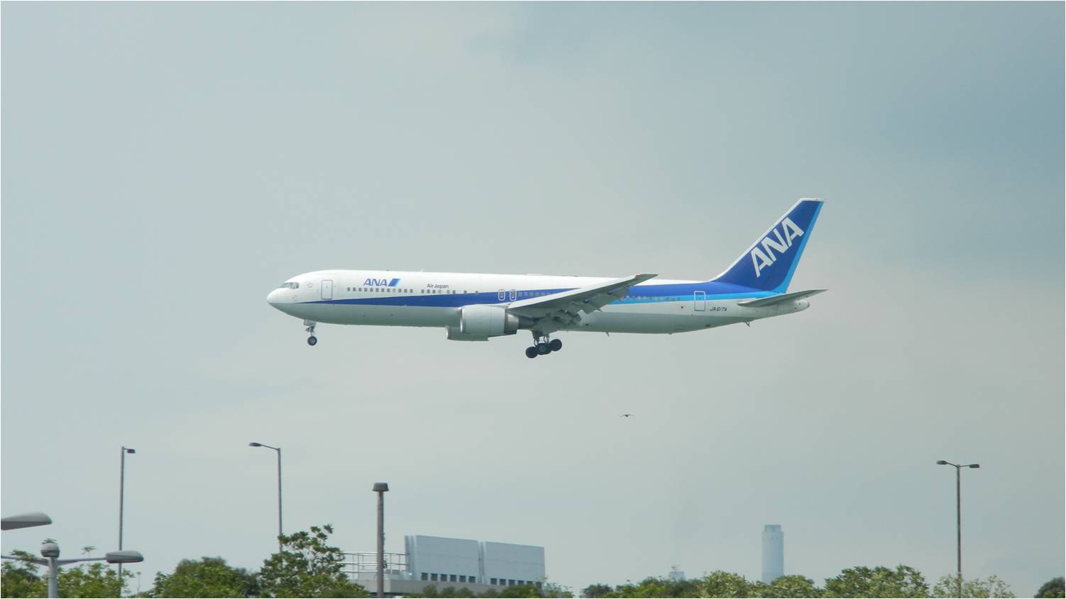 76. ANA B767 JA617A.jpg