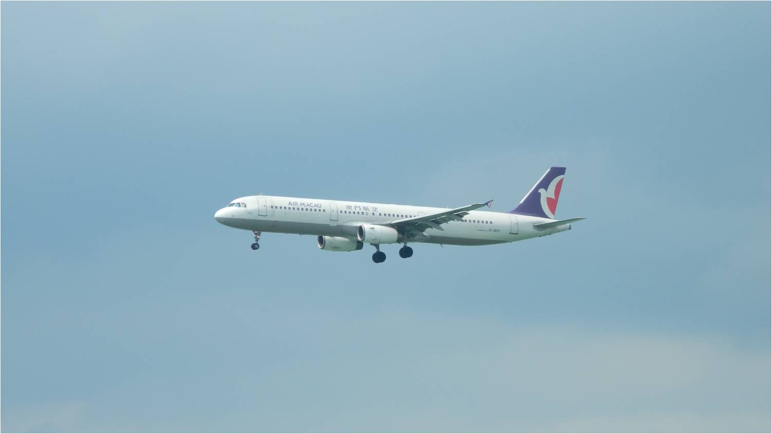 77. Air Macau A321 B-MAF.jpg