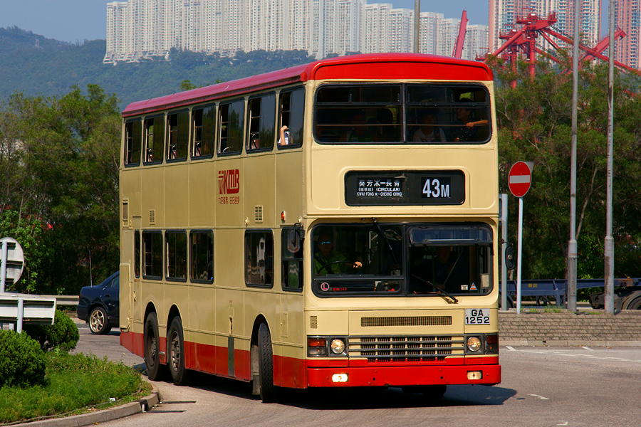DSC06842s.jpg