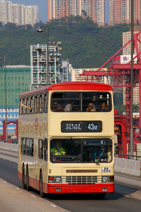 DSC06882s.jpg