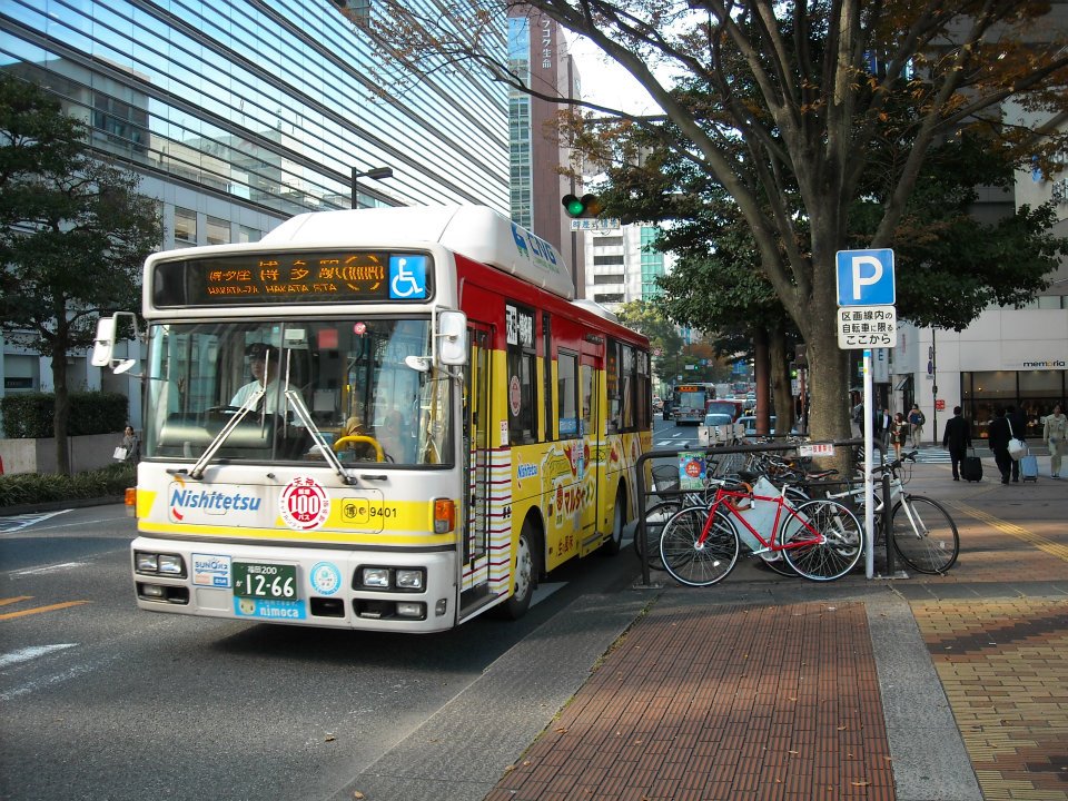 19.jpg