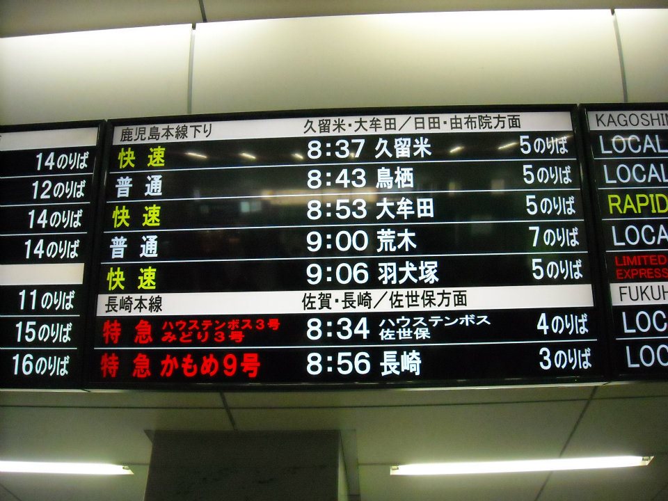 203.jpg
