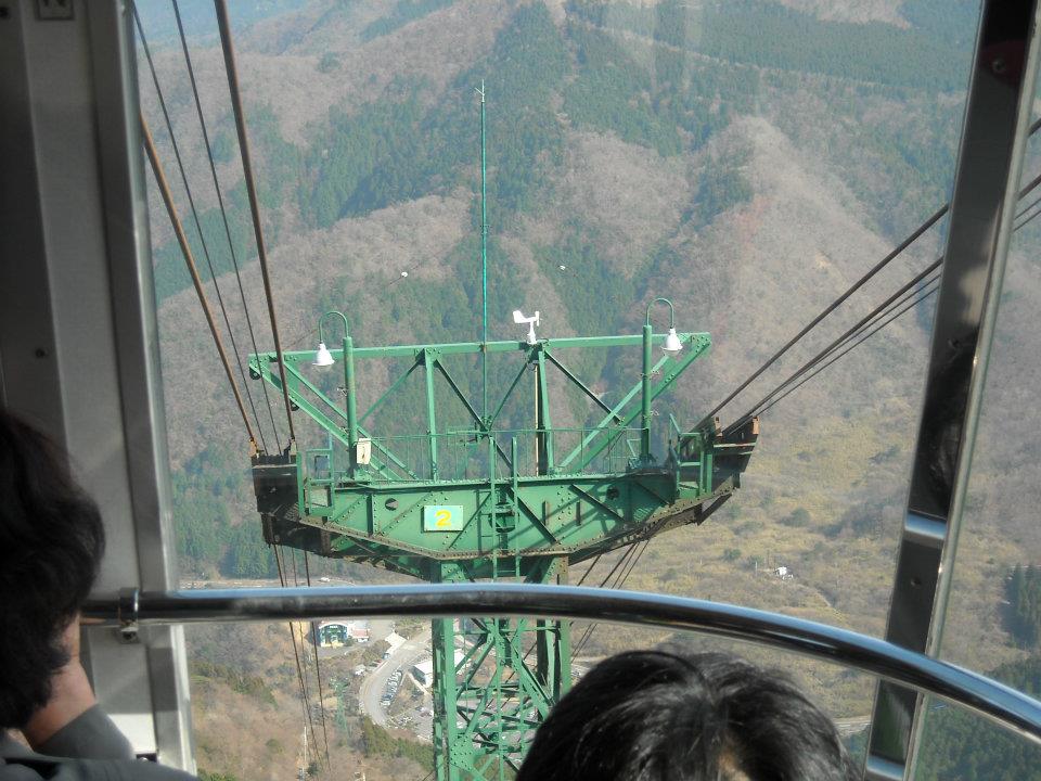 315.jpg
