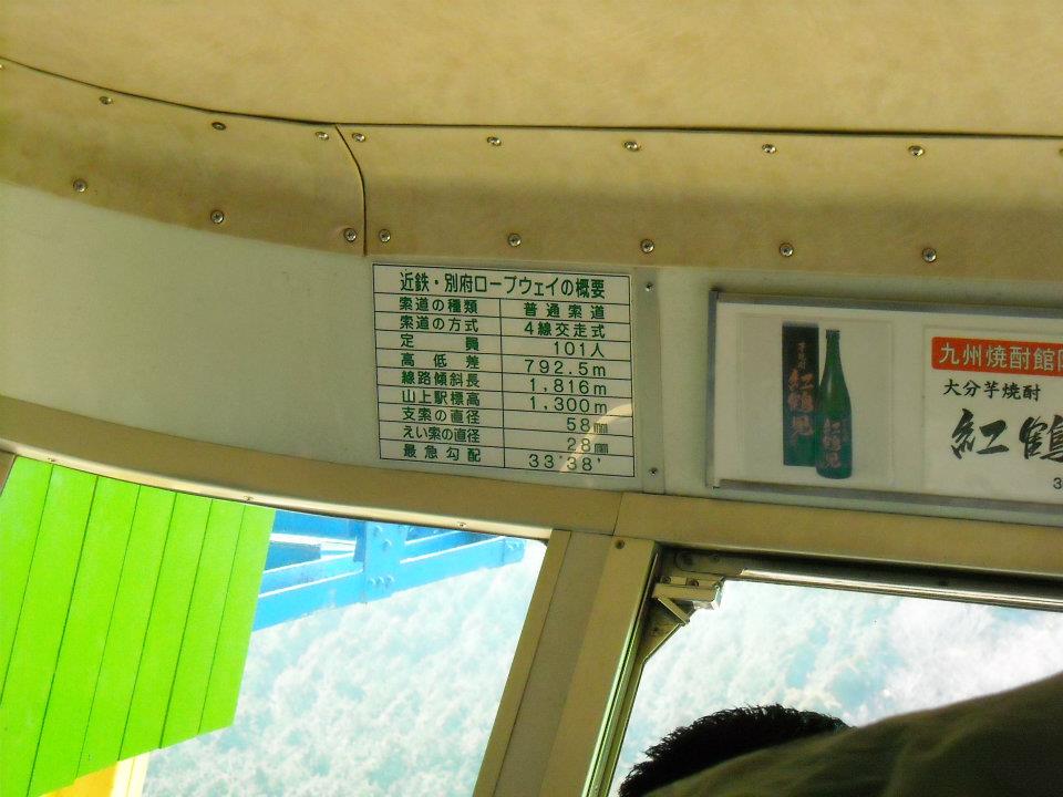 313.jpg