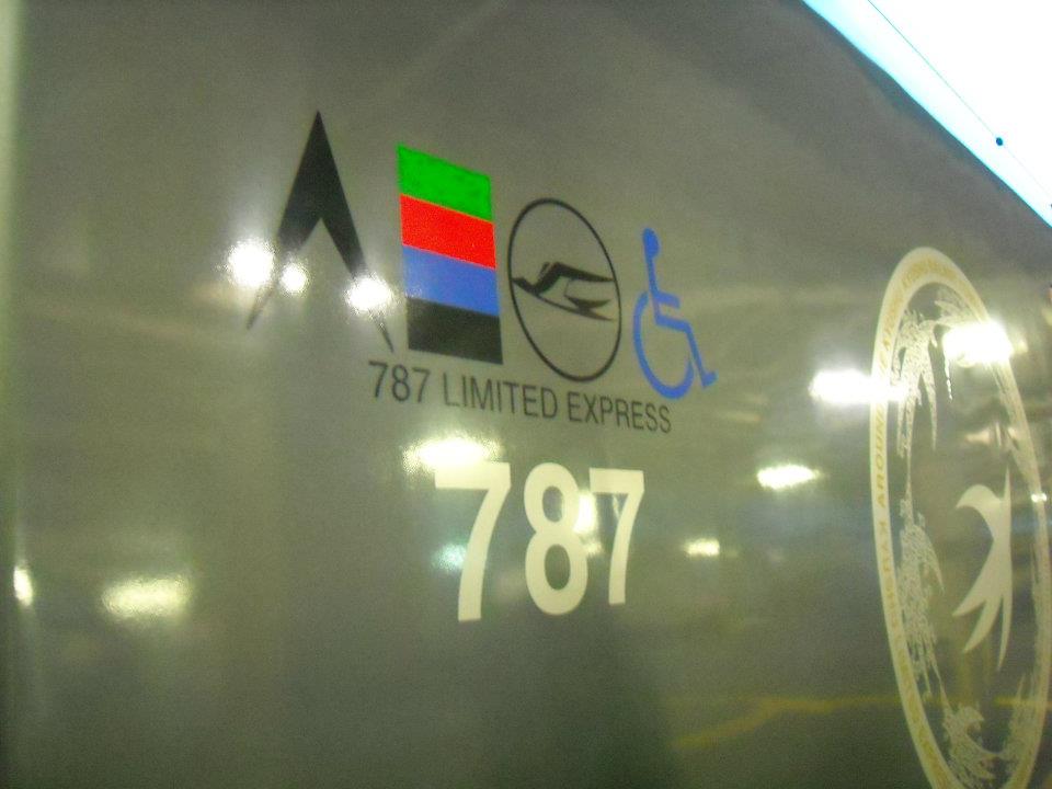 441.jpg