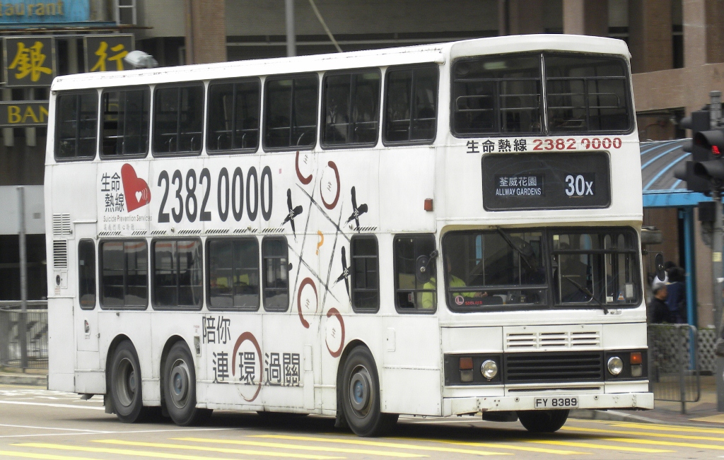 FY8389@30X (1024x651).jpg