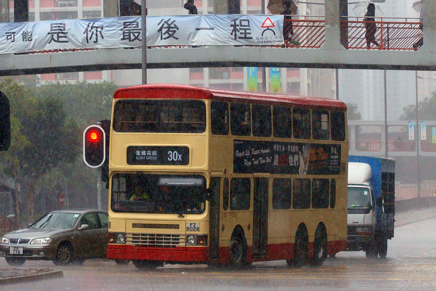 DSC07252S.jpg