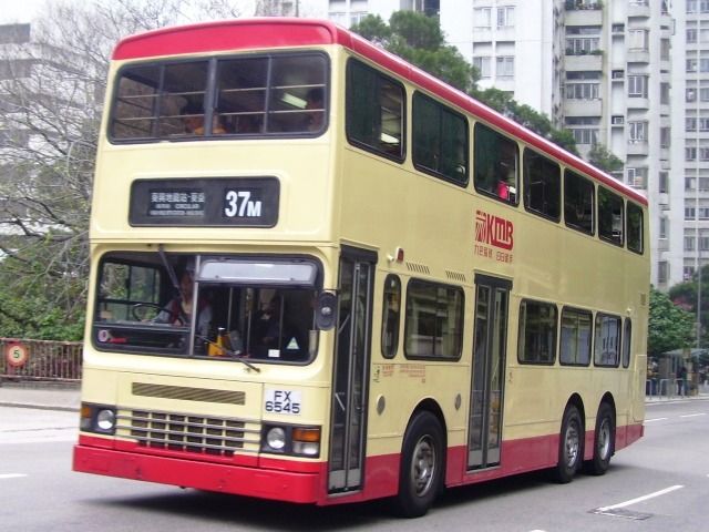 05.jpg